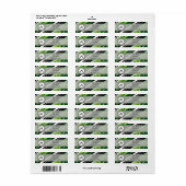Forest Green Modern-Retro Stripes met monogram Etiket (Full Sheet)