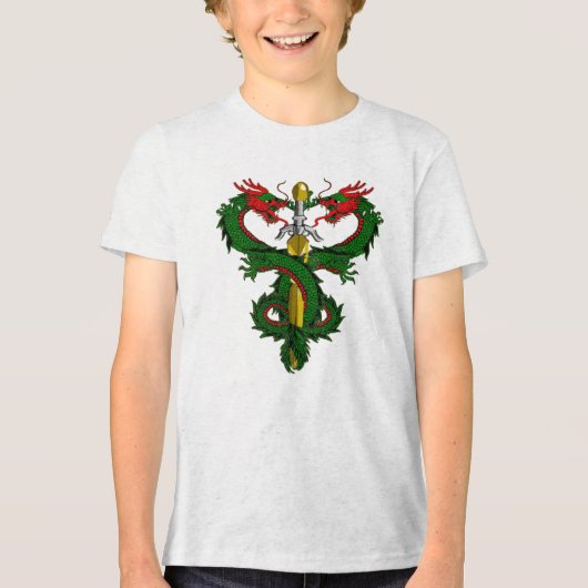 Forest Guardian Dragon Blade Tri-Blend Shirt (Voorkant)