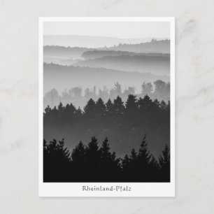 Forest Hills Landschap Foto Briefkaart