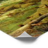 Forest Ivan Shishkin Poster (Hoek)