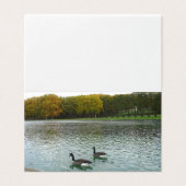 Forest Lake, eenden. Kaart (Buitenkant ongevouwen)