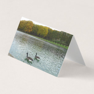 Forest Lake, eenden. Kaart