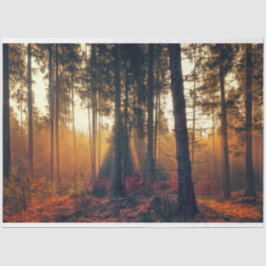 Forest Landscape 18 Decoupage Tissue Paper Tissuepapier