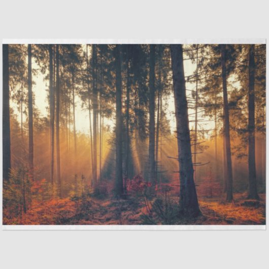 Forest Landscape 18 Decoupage Tissue Paper Tissuepapier (Voorkant)