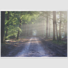 Forest Landscape Trail 24 Decoupage Tissue Paper Tissuepapier