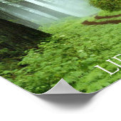 Forest, LIFE IS EEN REIS Poster (Hoek)