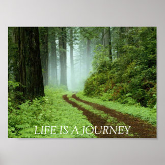 Forest, LIFE IS EEN REIS Poster