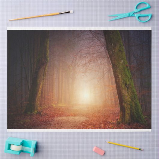 Forest Light 17-deklaagpapier Tissuepapier (Craft)