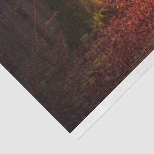 Forest Light 17-deklaagpapier Tissuepapier (Detail)