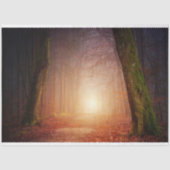 Forest Light 17-deklaagpapier Tissuepapier (Voorkant)