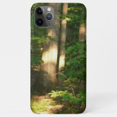 Forest Light-Natuur Case-Mate iPhone Case (Achterkant)