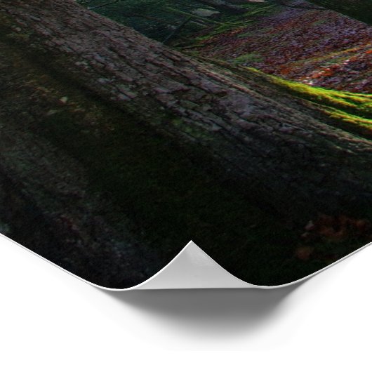 Forest Light Poster (Hoek)