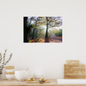 Forest Light Poster (Keuken)