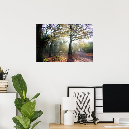 Forest Light Poster (Thuiskantoor)