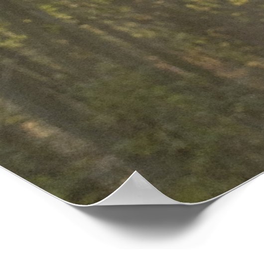 Forest Light Poster (Hoek)