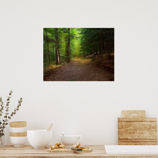 Forest Light Poster (Keuken)