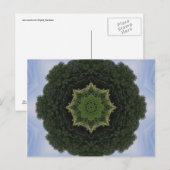 Forest Mandala Briefkaart (Voorkant / Achterkant)