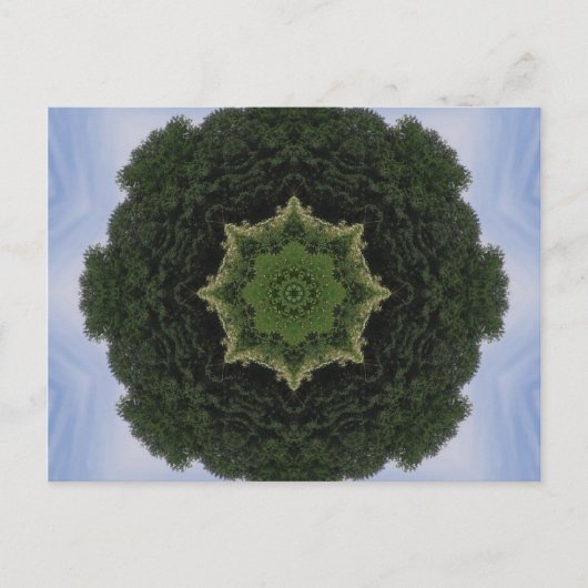 Forest Mandala Briefkaart (Voorkant)