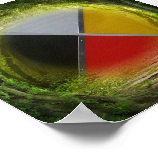 Forest Medicine Wheel Square Value Poster (Hoek)