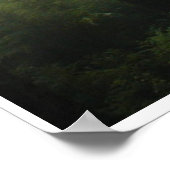 "FOREST MIST" Wilderness Forest Photo Print (Hoek)