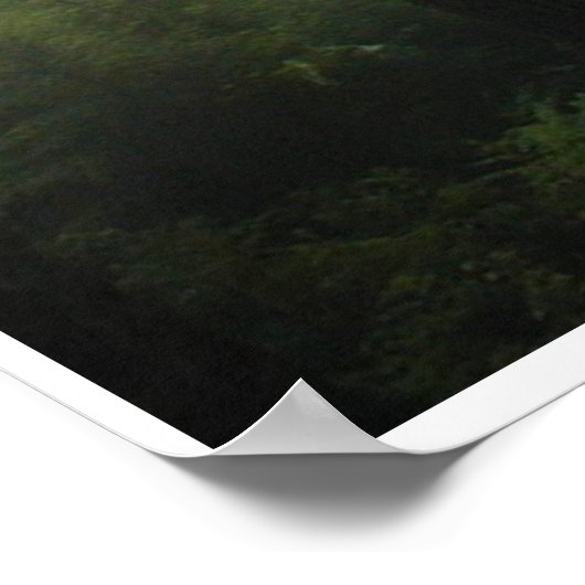 "FOREST MIST" Wilderness Forest Photo Print (Hoek)