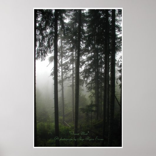"FOREST MIST" Wilderness Forest Photo Print (Voorkant)