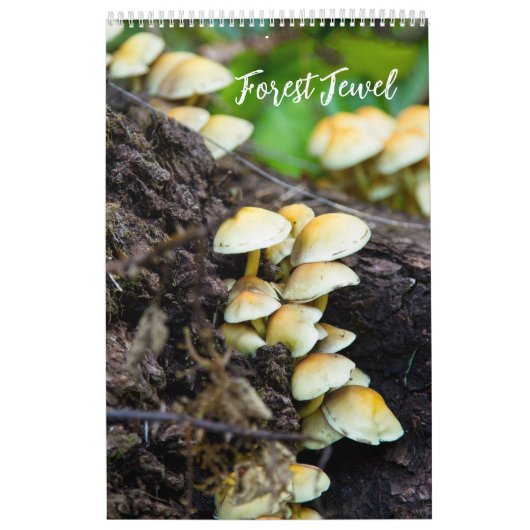 Forest Mushrooms Calendar Kalender (Hoes)