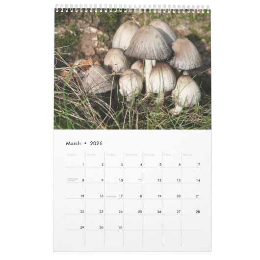 Forest Mushrooms Calendar Kalender (Mar 2026)