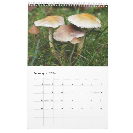 Forest Mushrooms Calendar Kalender (Feb 2026)