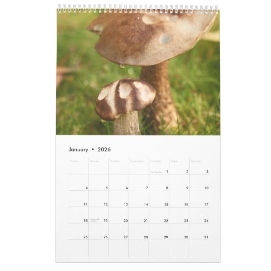 Forest Mushrooms Calendar Kalender (Jan 2026)