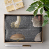 Forest Mushrooms Cottage Black Ephemera-ontkoppeli Tissuepapier (Geschenk)