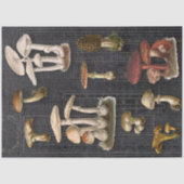 Forest Mushrooms Cottage Black Ephemera-ontkoppeli Tissuepapier (Voorkant)