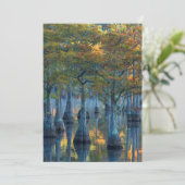 Forest of Pond Cypress Trees Bedankkaart (Staand voorkant)