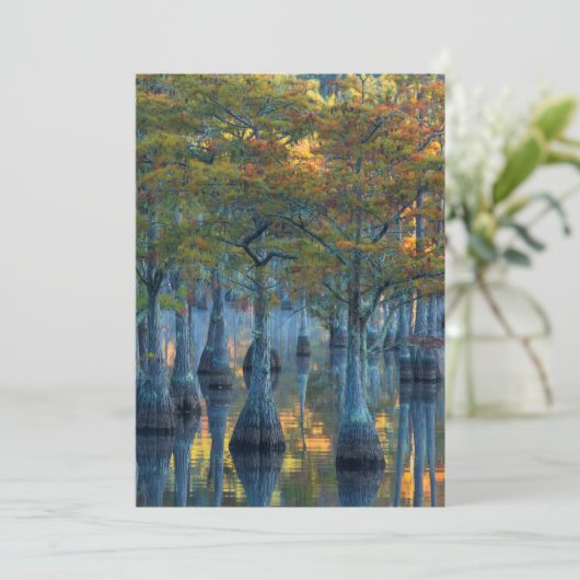 Forest of Pond Cypress Trees Bedankkaart (Staand voorkant)