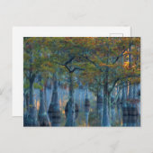 Forest of Pond Cypress Trees Briefkaart (Voorkant / Achterkant)