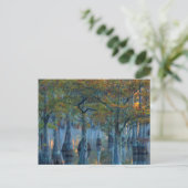 Forest of Pond Cypress Trees Briefkaart (Staand voorkant)