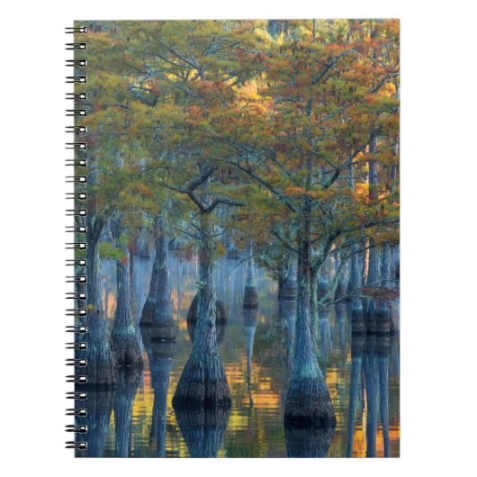 Forest of Pond Cypress Trees Notitieboek (Voorkant)