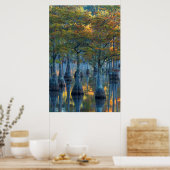 Forest of Pond Cypress Trees Poster (Keuken)