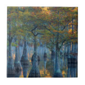 Forest of Pond Cypress Trees Tegeltje (Voorkant)