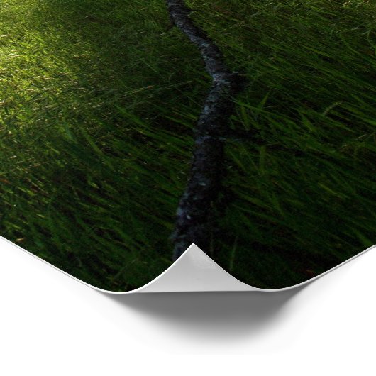 "Forest of Shadows" Poster (Hoek)