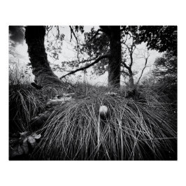 Forest on the mouse level perfect poster