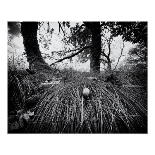 Forest on the mouse level perfect poster (Voorkant)