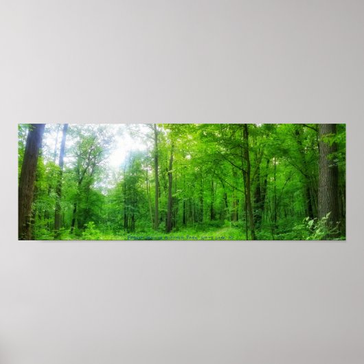 FOREST PANORAMA-POSTER POSTER (Voorkant)