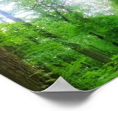 FOREST PANORAMA-POSTER POSTER (Hoek)