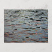 Forest Park Waterways Briefkaart (Voorkant)