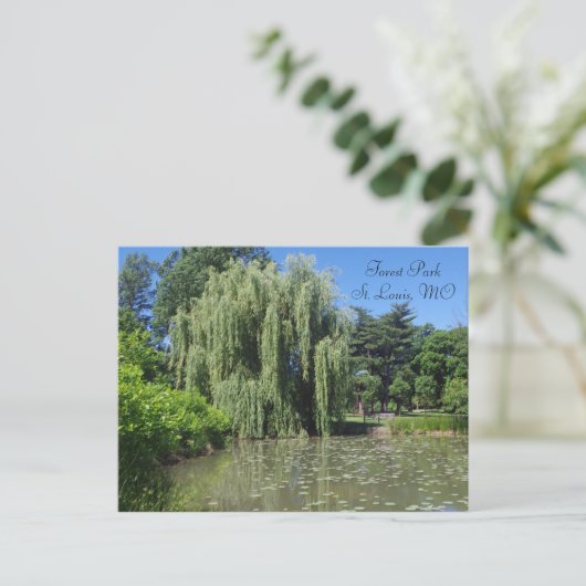 Forest Park Weeping Willow op Pond Briefkaart (Staand voorkant)