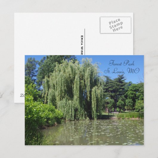 Forest Park Weeping Willow op Pond Briefkaart (Voorkant / Achterkant)