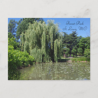 Forest Park Weeping Willow op Pond Briefkaart