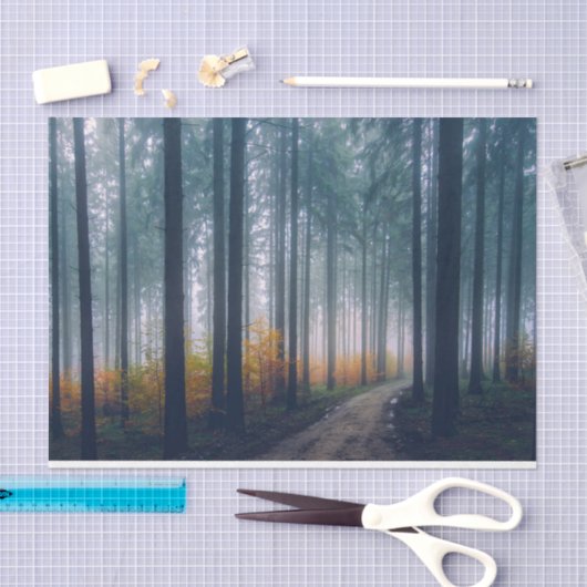 Forest Path 21-deduplicatiedocument Tissuepapier (Craft)