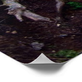 Forest Path Bench Print (Hoek)